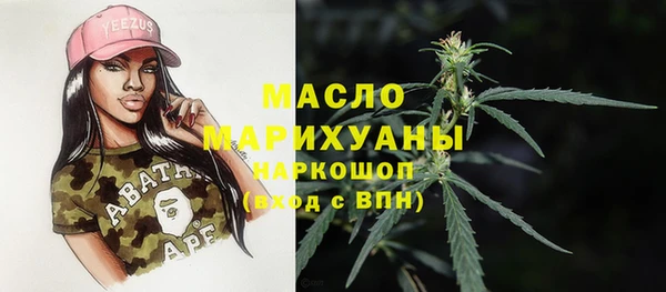 стаф Аркадак