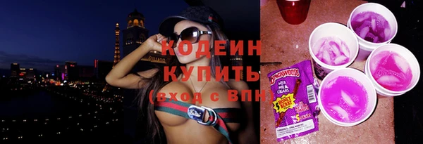 хмурый Арсеньев