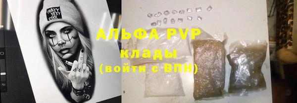 стаф Аркадак
