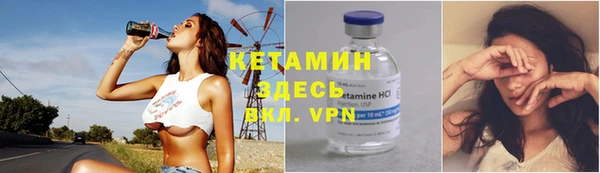 стаф Аркадак