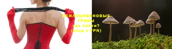 хмурый Армянск