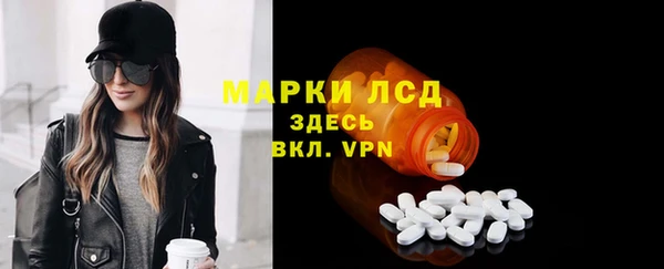 хмурый Арсеньев