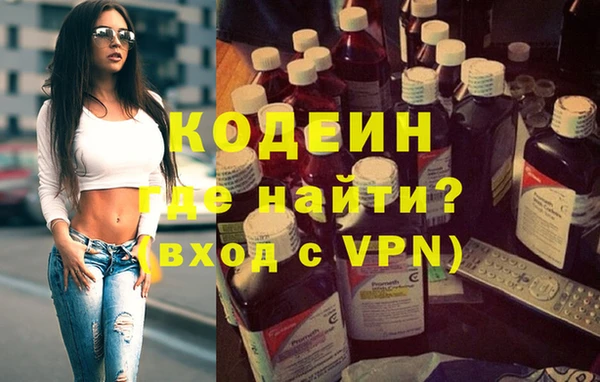 хмурый Арсеньев