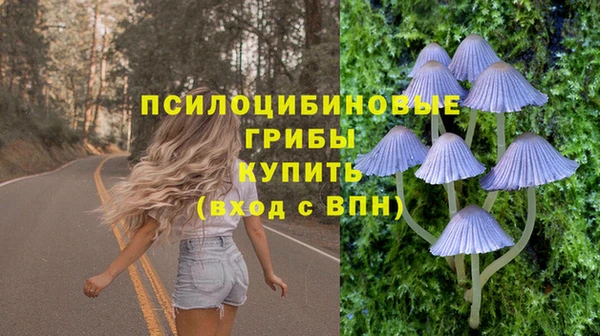 хмурый Арсеньев