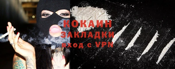 стаф Аркадак