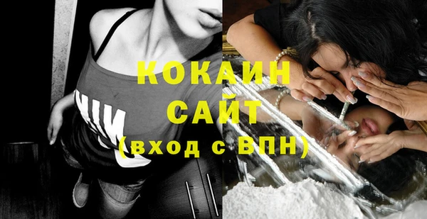 стаф Аркадак