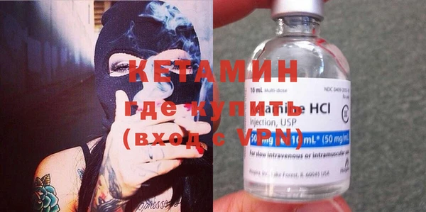 стаф Аркадак