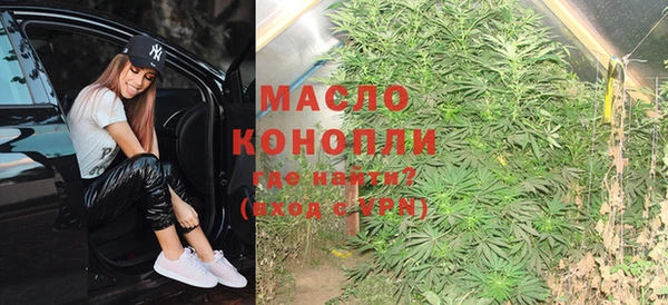 хмурый Арсеньев