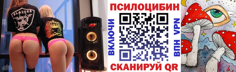 Галлюциногенные грибы Psilocybine cubensis  Арск 